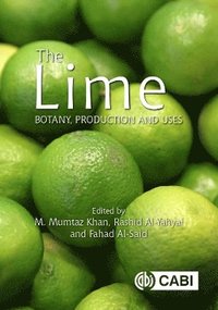 bokomslag Lime, The