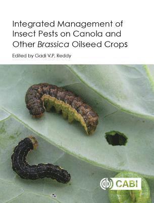 Integrated management of Insect Pests on Canola and other Brassica Oilseed Crops 1