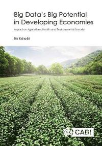 bokomslag Big Data's Big Potential in Developing Economies