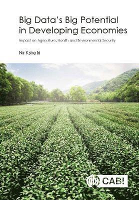 bokomslag Big Data's Big Potential in Developing Economies