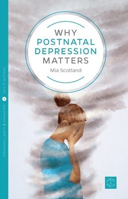 Why Postnatal Depression Matters 1