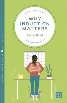 bokomslag Why Induction Matters