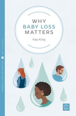 bokomslag Why Baby Loss Matters
