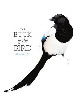 bokomslag The Book of the Bird