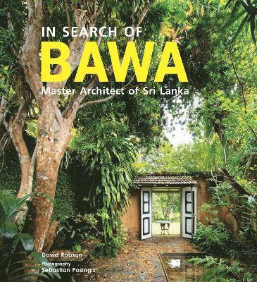 David Robson - In Search of BAWA, Häftad