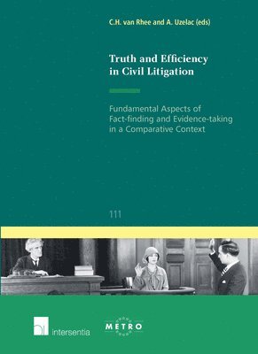 bokomslag Truth and Efficiency in Civil Litigation