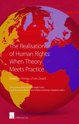 bokomslag The Realisation of Human Rights: When Theory Meets Practice