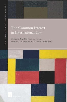 TBD, Wolfgang Benedek, Koen de Feyter, Matthias C. Ketteman - Common Interest in International Law, Inbunden
