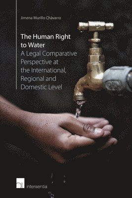 bokomslag The Human Right to Water