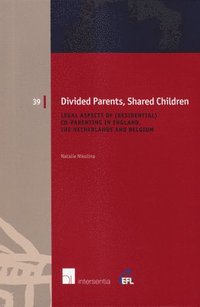 bokomslag Divided Parents, Shared Children