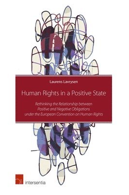 bokomslag Human Rights in a Positive State