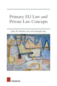 bokomslag Primary EU Law and Private Law Concepts