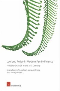 bokomslag Law and Policy in Modern Family Finance