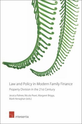 Jessica Palmer, Nicola Peart, Margaret Briggs, Mark Henaghan - Law and Policy in Modern Family Finance, Inbunden