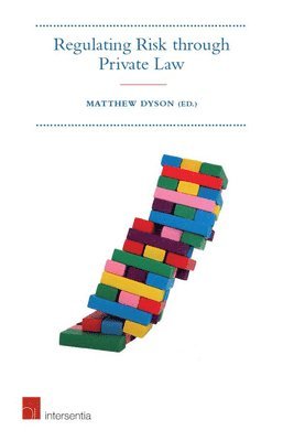 Matthew Dyson, Matthew Dyson - Regulating Risk Through Private Law, Häftad