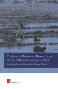 bokomslag The Future of Business and Human Rights
