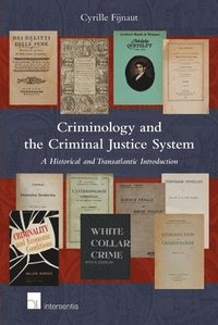 bokomslag Criminology and the Criminal Justice System
