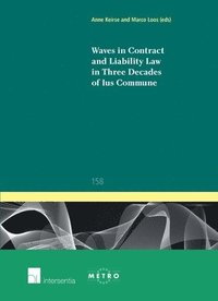 bokomslag Waves in Contract and Liability Law in Three Decades of Ius Commune