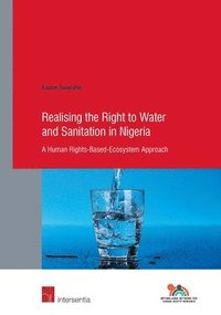 bokomslag Realising the Right to Water and Sanitation in Nigeria: 87