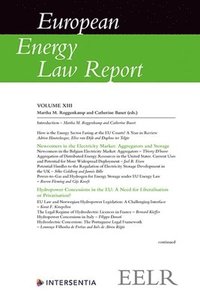 bokomslag European Energy Law Report XIII