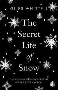 bokomslag The Secret Life of Snow