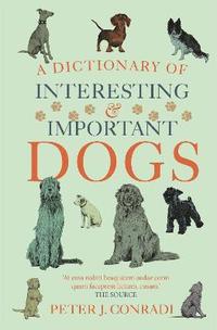 bokomslag A Dictionary of Interesting and Important Dogs