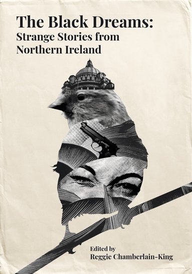 Ian Sansom, Jo Baker, Moyra Donaldson, Bernie McGill, Jan Carson, Ian McDonald, Sam Thompson, Michelle Gallen, Carlo Gébler, Reggie Chamberlain-King, John Patrick Higgins, Gerard McKeown, Aislínn Clarke, Emma Devlin, Reggie Chamberlain-King - Black Dreams, Inbunden