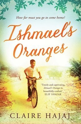 bokomslag Ishmael's Oranges