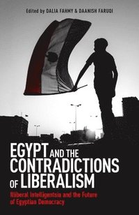 bokomslag Egypt and the Contradictions of Liberalism