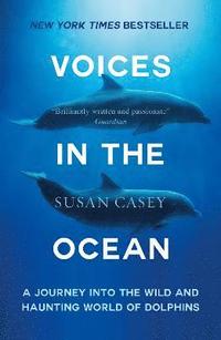 bokomslag Voices in the ocean - a journey into the wild and haunting world of dolphin