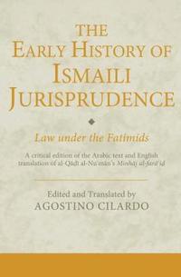 bokomslag The Early History of Ismaili Jurisprudence: Law Under the Fatimids