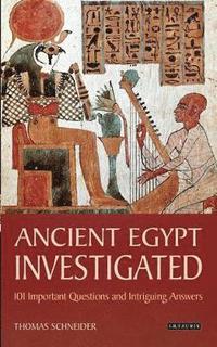 bokomslag Ancient Egypt Investigated