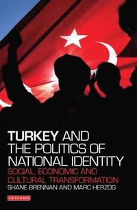 bokomslag Turkey and the Politics of National Identity