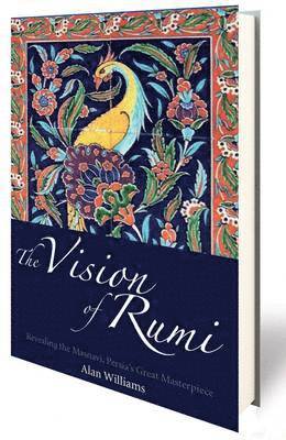 bokomslag The Vision of Rumi