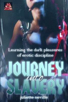 bokomslag Journey into Slavery