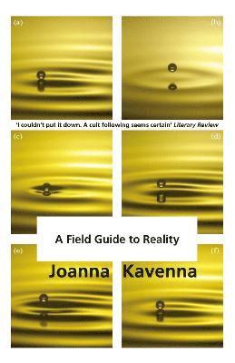 Joanna Kavenna - Field Guide to Reality, Häftad