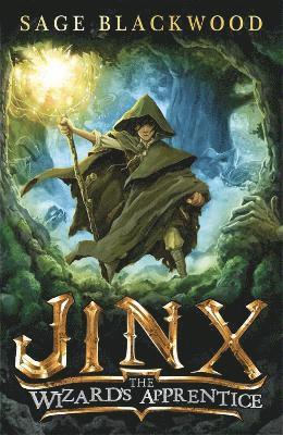 bokomslag Jinx: The Wizard's Apprentice