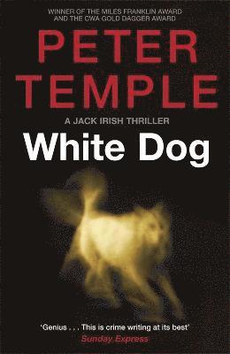 White Dog 1