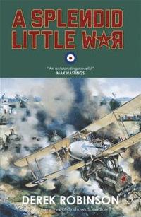 bokomslag A Splendid Little War