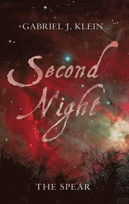 Gabriel J. Klein - Second Night, Häftad