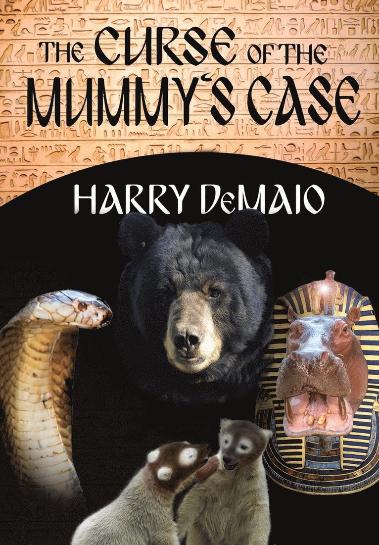 Curse of the Mummy's Case (Octavius Bear Book 5)