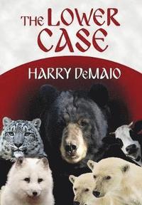 bokomslag Lower Case (Octavius Bear Book 4)