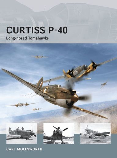 Carl Molesworth - Curtiss P-40, Häftad