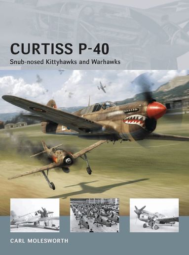 Carl Molesworth - Curtiss P-40, Häftad