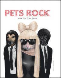 Joel Jessup - Pets rock - more fun than fame!, Inbunden