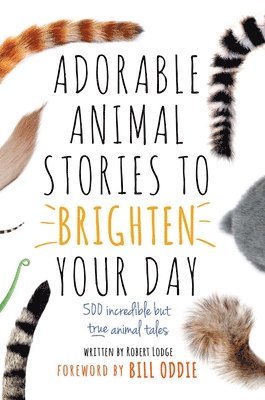 Robert Lodge - Lodge, R: Adorable Animal Stories to Brighten Your Day, Inbunden
