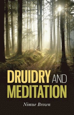 bokomslag Druidry and Meditation