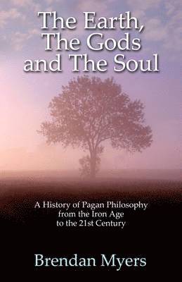bokomslag Earth, The Gods and The Soul - A History of Paga - From the Iron Age to the 21st Century