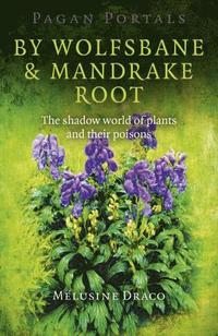 bokomslag Pagan Portals - By Wolfsbane & Mandrake Root - The shadow world of plants and their poisons