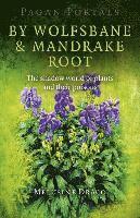 bokomslag Pagan Portals  By Wolfsbane & Mandrake Root  The shadow world of plants and their poisons